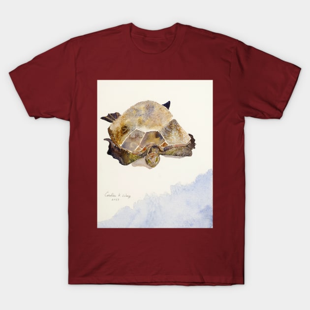 Sea Turtle T-Shirt by Cwang